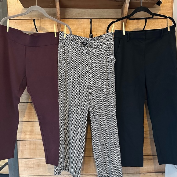 Loft Bottoms Bundle - Size M/10 - $200 value - Picture 1 of 8